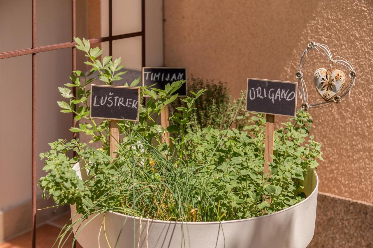 Apartma Summer Garden Bled Dış mekan fotoğraf